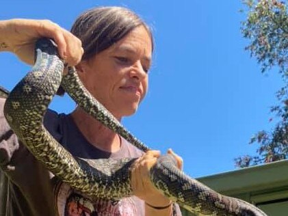 The only licenced snake catcher in Lismore fought for her licence in court after she was suspended for drug driving with THC she had a prescription for. Marion Nel, 48, appealed her suspended licence at Lismore Local Court after being charged with driving with a prescribed illicit drug present.