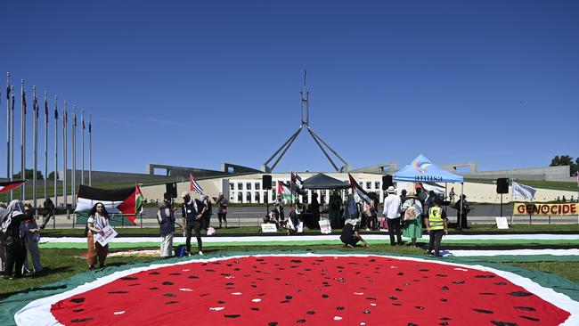 The rally coincided with the Greens’ actions inside Parliament House. Picture: NCA NewsWire / Martin Ollman