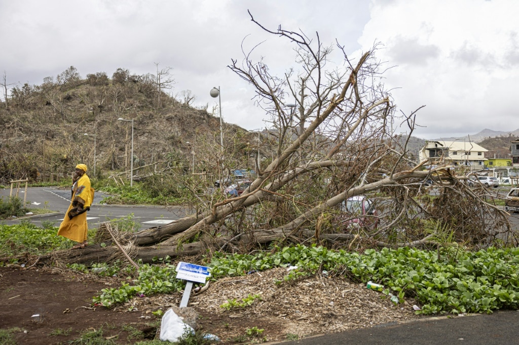 Mayotte faces environment, biodiversity crisis after cyclone