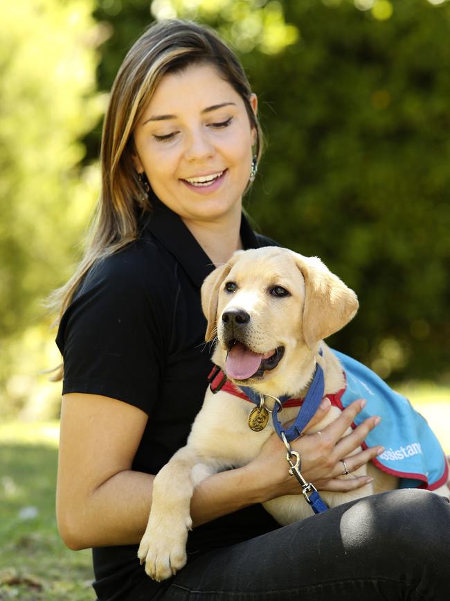 Puppy educator and supervisor Fran Diogo says taking on a puppy is a bit commitment but volunteers are critical to pups being trained. Picture: Justin Lloyd