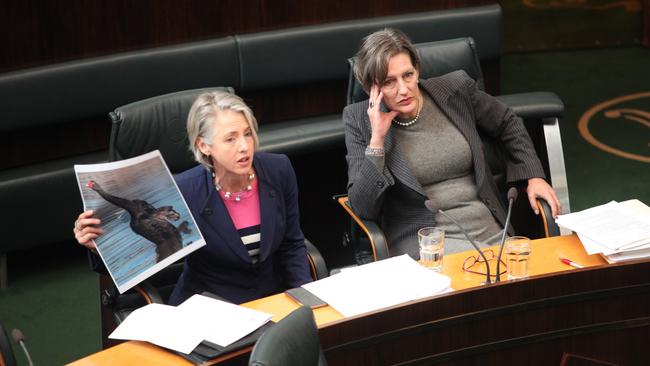 Greens MP Rosalie Woodruff holds up a photograph of a swan in state parliament. Picture: DAVID KILLICK