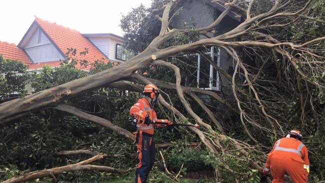 SES volunteers work to remove a large tree that caused significant damage to a home in Glen Iris in Melbourne's southeast. Picture: Facebook/SES Malvern Unit