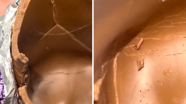 Cobwebs and meal worms? Not exactly welcome. Image: TikTok / @chyannnn3