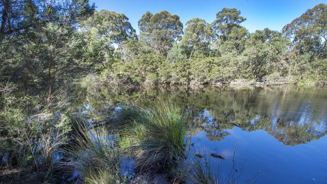 Suburb guide: Blackburn, Melbourne. Best cafes, schools, food. | Herald Sun