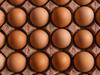 Global health warning after bird flu death