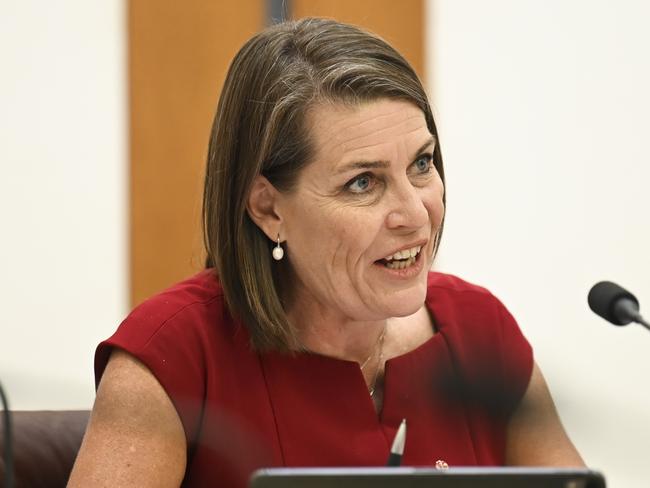 CANBERRA, AUSTRALIA, NewsWire Photos. FEBRUARY 16, 2024: Senator Perin Davey during Environment and Communications Legislation Committee Senate estimates at Parliament House in Canberra. Picture: NCA NewsWire / Martin Ollman