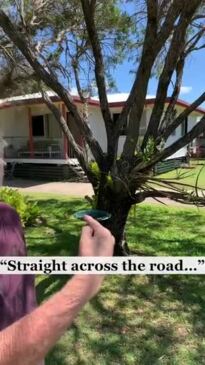 Bob Ross Talks About the Car Crash Into a House in South Mackay on November 11