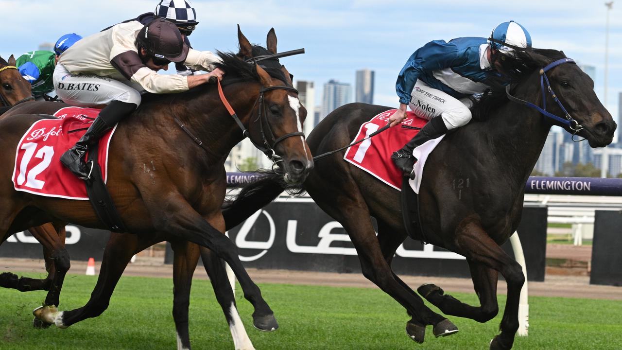 Stylish Secret is an each-way chance at odds in the Group 2 Sandown Guineas at Caulfield. Picture: Getty Images