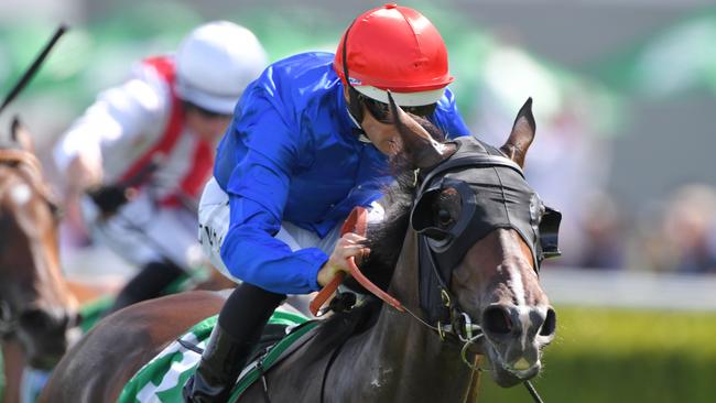 Flit is favoured to get the nod to run in the All-Star Mile. Picture: AAP