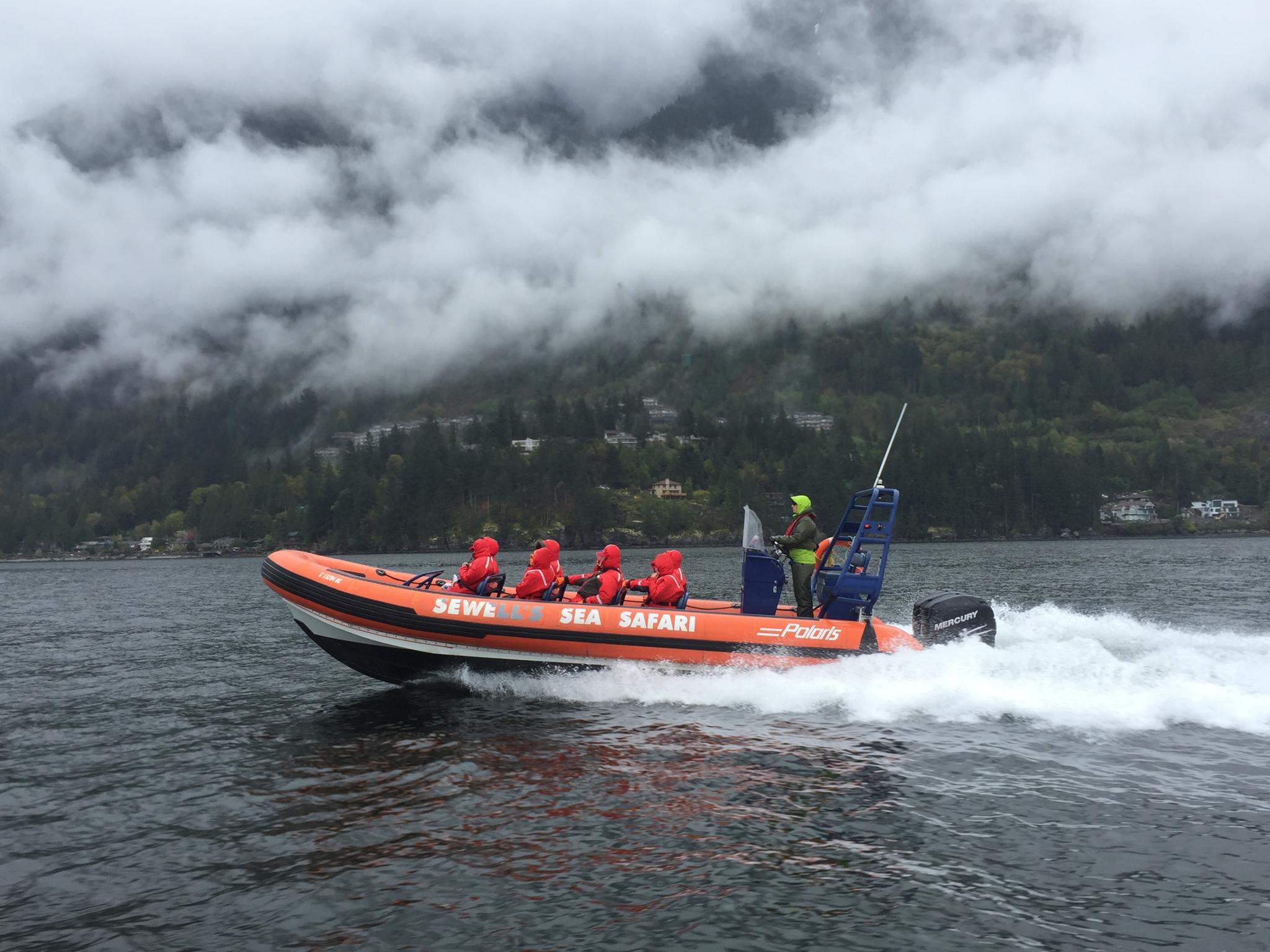 vancouver sea safari