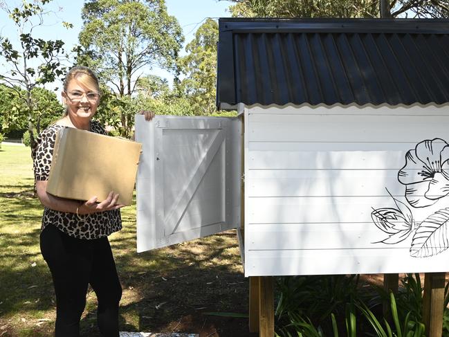 Businesswoman creates giant Covid Mailbox