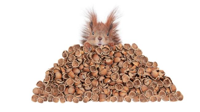 Is the idea of squirrelling away critical minerals a good one? Pic: Getty Images