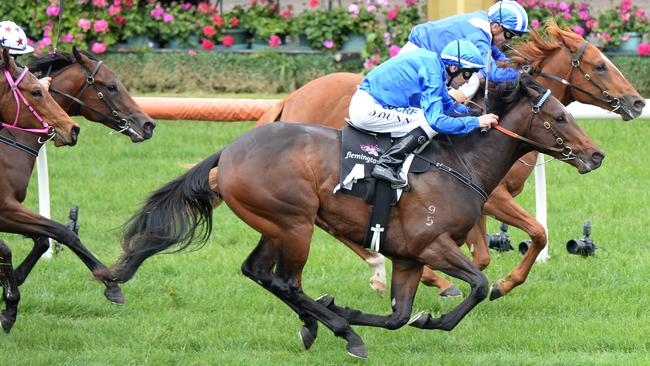 Magic Millions 2018: Hayes MM filly ‘flying under the radar’ for 2YO ...