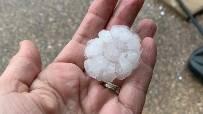 A hailstone in Pacific Pines.