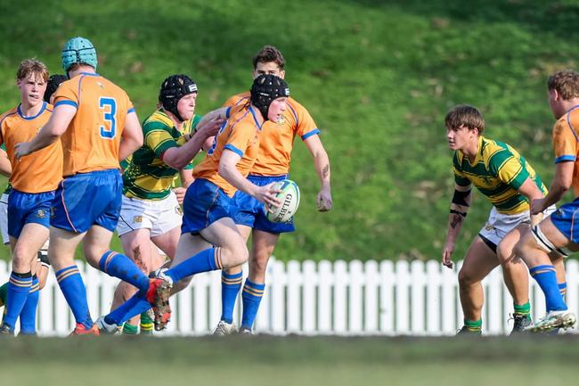 Ollie Millard had a soft pair of hands for Ashgrove. by Stephen Archer.