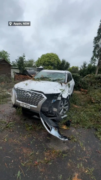 Sydney homes cop devastating storm damage