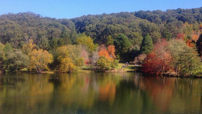 The Mount Lofty Botanic Gardens in autumn