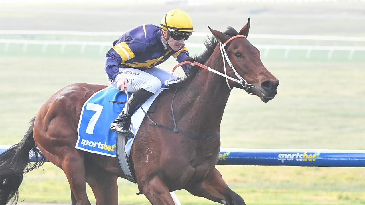 Patrick Moloney rides Winchester to victory on his way to a double at Sandown. Picture: Pat Scala/Racing Photos via Getty Images