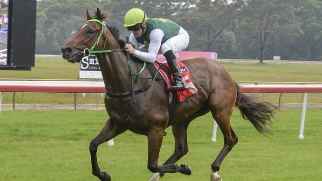 Kattegat returns for Forbes on Sunday looking for his second win in the Ben Hall Bullett. Picture: Bradley Photos