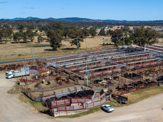 Southern Downs' $7+ million dollar upgrade project on the saleyards is expected to begin soon and be completed by mid-2024 (Photo: SDRC)