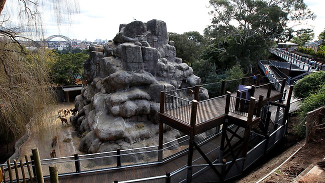 Tahr exhibit