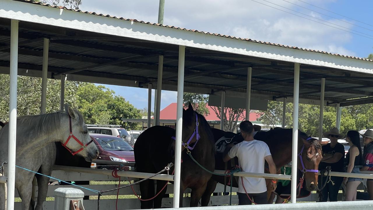 The sights and sounds of the races were enjoyed by all.