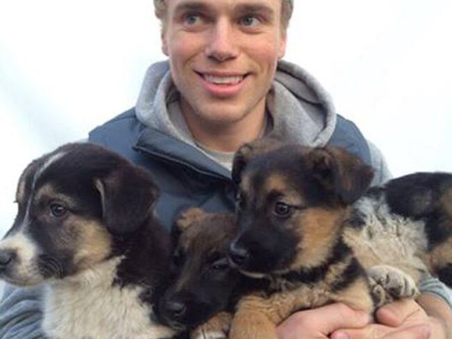 U.S. freestyle skier Gus Kenworthy adopting stray Sochi puppies
