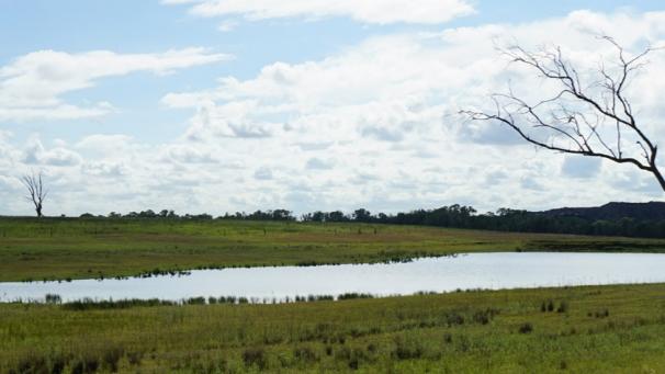 The State Government has announced banning the development of nursing homes in rural areas of Hornsby Shire and the Hills. Pictures is an example of rural land.