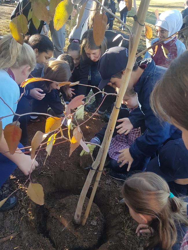 NSW Premier Gladys Berejiklian with Rosemeadow Public School students planting the first of one million trees to be planted across Sydney by 2022.