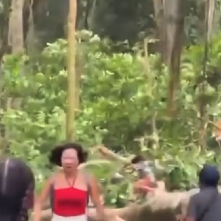 Heavy rains caused a large tree to fall in Monkey Forest, in Ubud, in Bali on Tuesday. Picture: Bali Livin