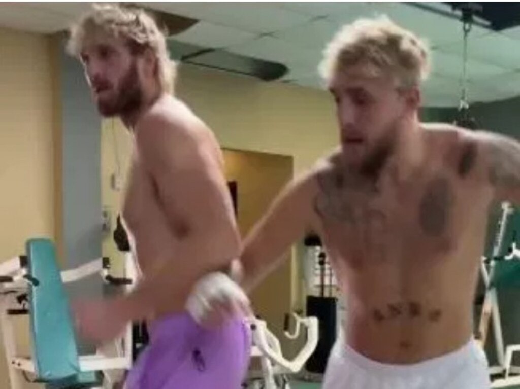 Logan Paul and Jake Paul working out together.