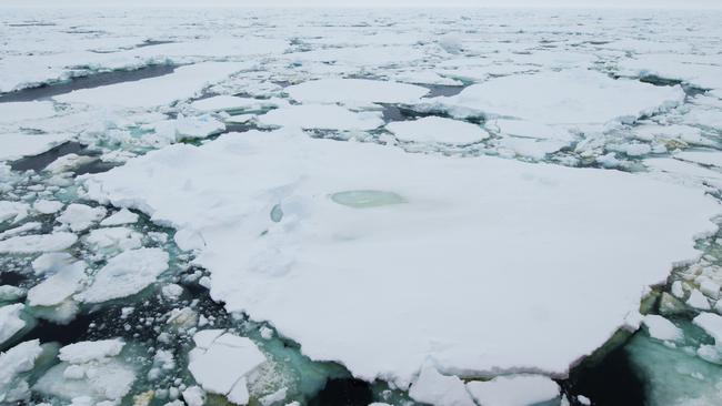 Global warming melting ice floes exposing Antarctic ice shelves to wave ...