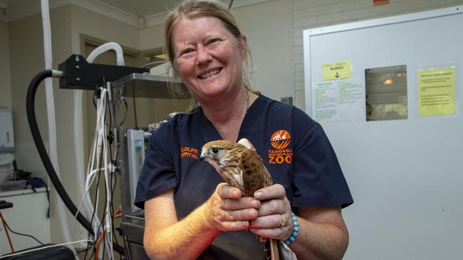 Taronga Western Plains Zoo wildlife hospital veterinary nurse Jodie Lardner-Smith. Picture: Rick Stevens