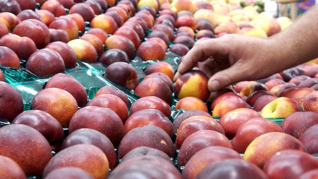 Peaches and nectarines have been given the green light for exports into Vietnam.