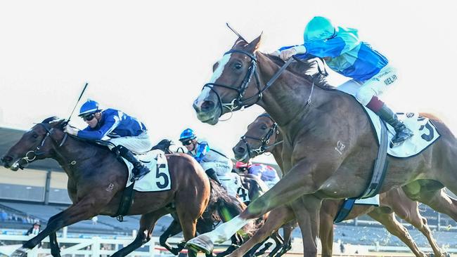 Samudra (right) edges out I’mateez Jye McNeil in a thrilling finish at Sandown Hillside. Picture: Racing Photos