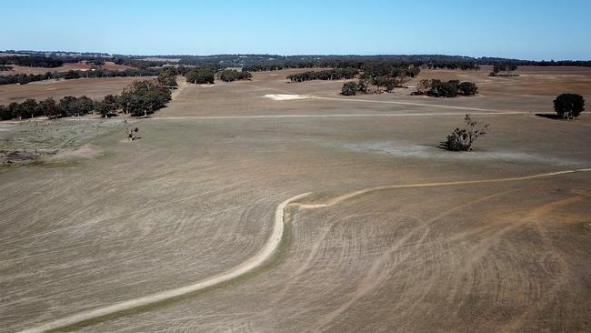 China has imposed an 80 per cent tariff on barley imports from Australia. Picture: Richard Wainwright/AAP Image