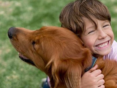 Young boy with pet dog. Picture: iStock.