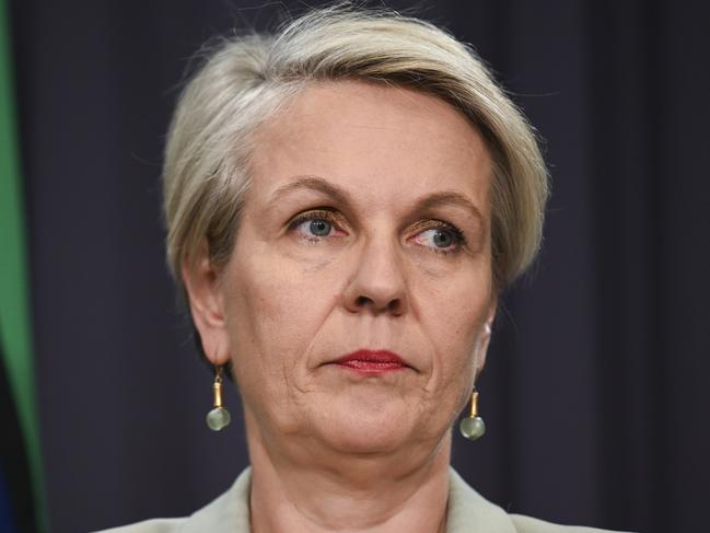 CANBERRA, Australia - NewsWire Photos - October 14, 2024: Tanya Plibersek holds a press conference at Parliament House in Canberra. Picture: NewsWire / Martin Ollman