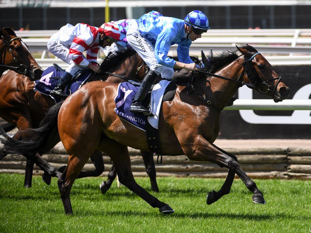 Melbourne Cup 2020 Betting: Punter Collects $30,000, TAB. Market News ...