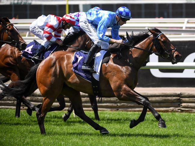 No Restriction ridden by Declan Bates wins the World Horse Racing Desirable Stakes at Flemington Racecourse.