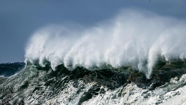 News Cape Solander, Sydney, NSW, Australia. Picture: Julian Andrews.