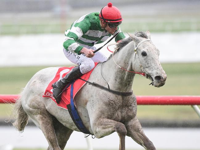 Fengarada ridden by Arron Lynch wins the Ladbrokes Mates Mode Handicap at Ladbrokes Park Lakeside Racecourse on August 24, 2022 in Springvale, Australia. (Photo by Pat Scala/Racing Photos via Getty Images)