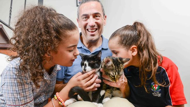 Tom Koutsantonis with his daughters Tia and Helena and their two kittens Ruby and Ray who contracted Covid last week. Picture: Brenton Edwards