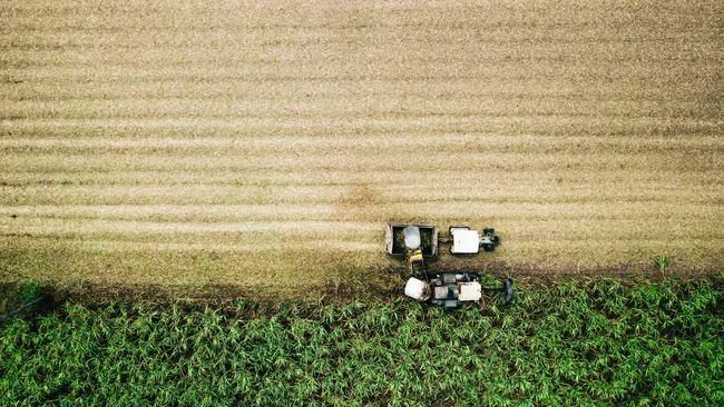 CSIRO's Futures’ Agriculture and Food Leader Katherine Wynn said the decline in farming profitability should be a “stark warning sign” for industry. PICTURE: Supplied.