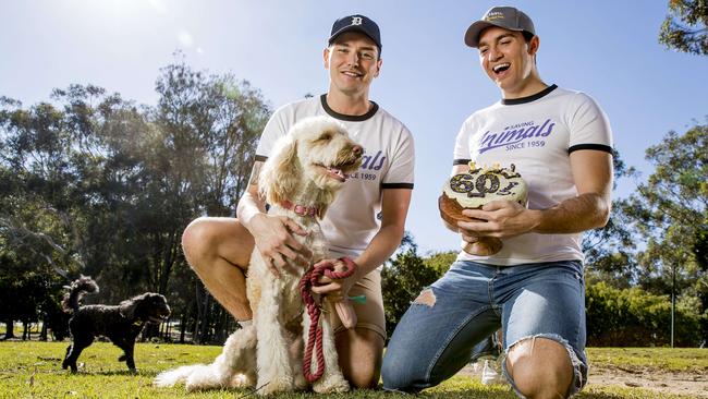 Luke Shayler and Trent Owers with Labradoodle called Honey. Picture: Jerad Williams