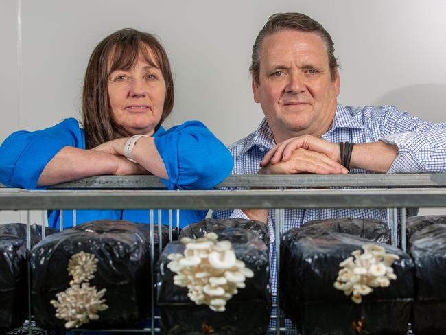 Ken (Kenneth King) with wife Dr Leanne McGrath, at the the new multi-million dollar exotic mushroom establishment at the former Holden site in Elizabeth SA. Pictured on Jan 30th 2023. Picture: Ben Clark