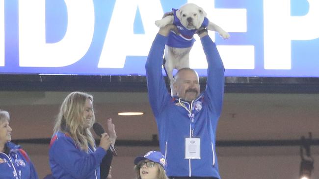 AFL Confidential: Western Bulldogs' mascot circle of life ...