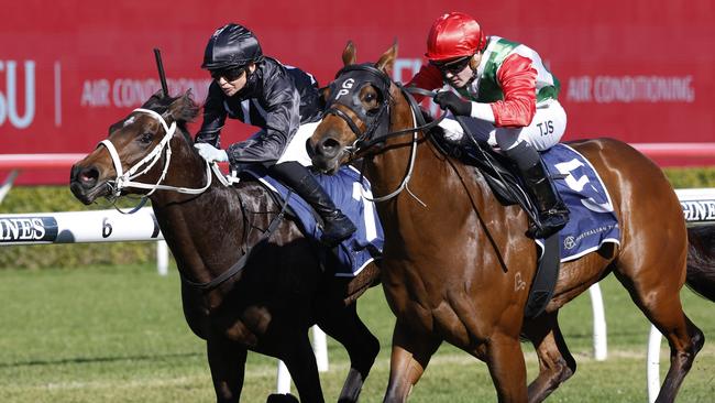 Rebel Shadow (R) could be scratched from Wednesday’s card. Picture: Mark Evans-Getty Images