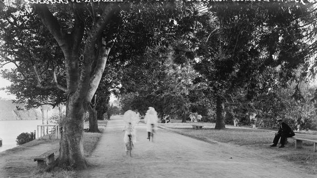 Brisbane Botanic Gardens, near the Edward Street entrance. By Alfred Elliott (1870-1954).