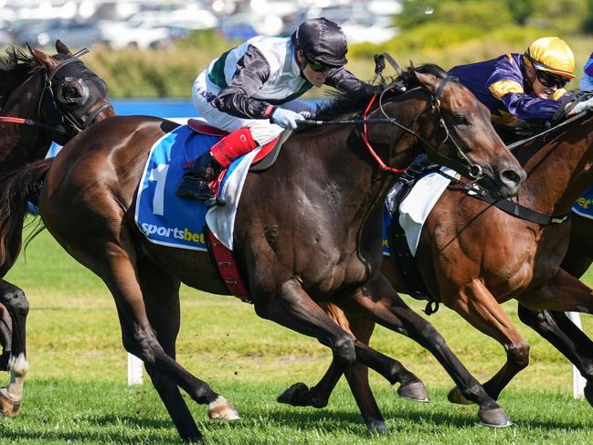 Mr Brightside (NZ) ridden by Craig Williams wins the Sportsbet C.F. Orr Stakes at Caulfield Racecourse on February 10, 2024 in Caulfield, Australia. (Photo by Scott Barbour/Racing Photos via Getty Images)